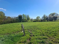 Propriété Corps de ferme SAINT DENIS DE GASTINES (53)