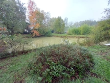 SAINT-PIERRE-LA-COUR – Longère en pierre 130m² avec dépendances et terrain d'1,34ha