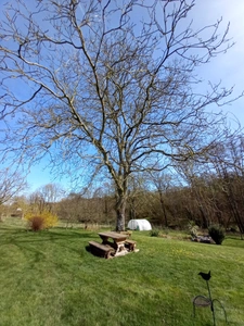 ? Maison en Rondins de Bois | 111 m² | Grand Terrain de 3200 m² | Proche L’Huisserie & Laval ?✨