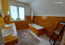 Montigné Le Brillant - Propriété 200m² - 5 chambres - 4800m² - piscine 