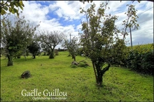 Néo bretonne 4 chambres vie de plain pied - 118m² - MESPAUL - VERGER + POTAGER SUR 3600m²