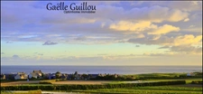 Charmante Maison avec Vue Panoramique sur l'Île de Batz