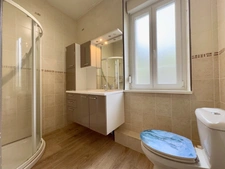 Maison familiale de caractère de 155 m²  à Cirey Sur Vezouze - Gros potentiel !