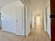 Appartement rénové de 80 m² 5 pièces avec parking – Secteur Fac de Lettres à Nancy 