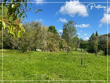 Maison en pierre de 245 m² sur 2 hectares avec lac