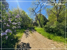 Maison en pierre de 245 m² sur 2 hectares avec lac