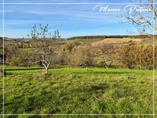 Maison à vendre 7 pièces LAVARDENS (32)