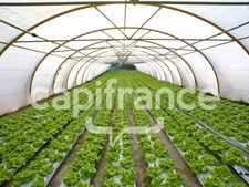Dpt Saône et Loire (71), à vendre proche de LOUHANS Agriculture - exploitation Maraîchage