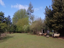 House for sale in SIMANDRE (71) with 5 rooms on a plot of 9924m²