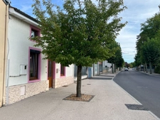 Maison à vendre 2 pièces CUISERY (71) avec cour et jardin