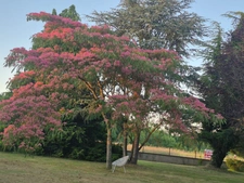 Maison à vendre 7 pièces ORMES (71)