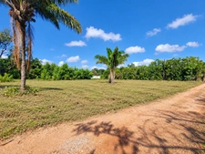 Terrain constructible de 1008 m² - Les Jardins de Sainte Agathe - MACOURIA (973)