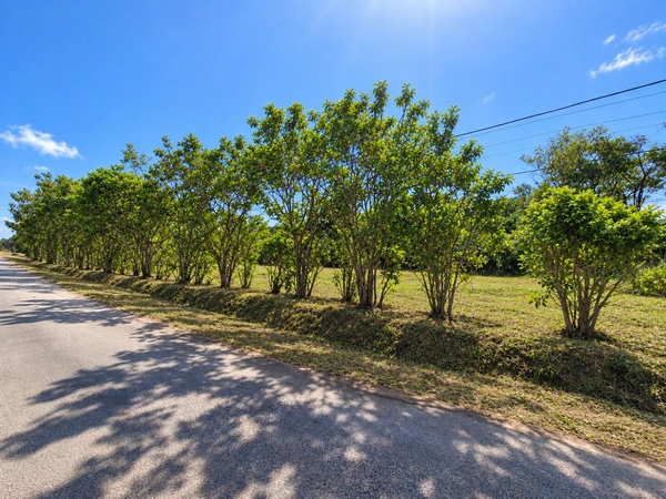 Terrain constructible de 1008 m² à vendre à Sainte Agathe - MACOURIA (973)