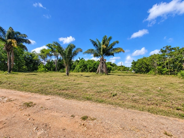 Terrain constructible de 1008 m² à vendre à Sainte Agathe - MACOURIA (973)