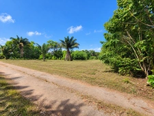 Terrain constructible de 1008 m² - Les Jardins de Sainte Agathe - MACOURIA (973)