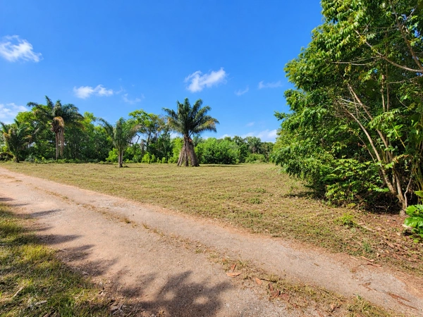 Terrain constructible de 1008 m² - Les Jardins de Sainte Agathe - MACOURIA (973)