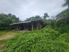 Terrain avec Maison en bois - Savane Sarcelle - MANA (973)