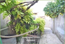Maison à vendre 5 pièces SAINT THIBERY (34)