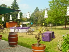 Local/bureau à vendre proche de TARBES (65)