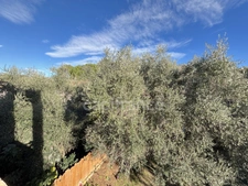Appartement à vendre 4 pièces MOUGINS (06)