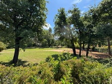 Terrain à vendre  MOUGINS (06)