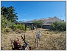 Maison à vendre 12 pièces NARBONNE (11)