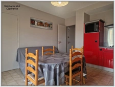 Appartement à vendre 2 pièces SAINT PIERRE LA MER (11)