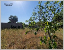 Terrain à vendre de 2 958,00 m² NARBONNE (11)