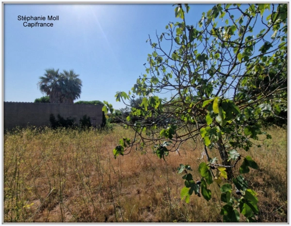 Terrain à vendre de 2 958,00 m² NARBONNE (11)