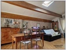 Dpt Aude (11), à vendre OUVEILLAN ensemble immobilier