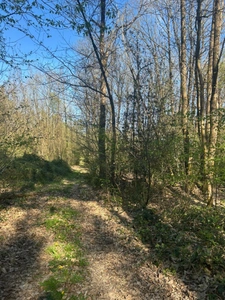 Terrain à vendre  LE VIEIL BAUGE (49)