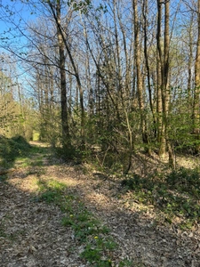 Terrain à vendre  LE VIEIL BAUGE (49)