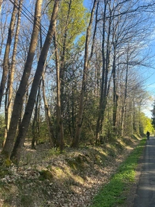 Terrain à vendre  LE VIEIL BAUGE (49)
