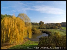 Dpt Maine et Loire (49), à vendre BARACE maison P0   