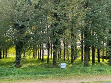 Dpt Maine et Loire (49), à vendre terrain constructible