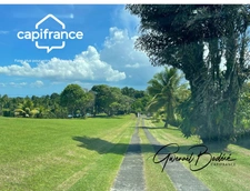 Terrain à vendre  PETIT BOURG (971)