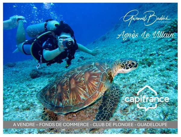 À Vendre Fonds de Commerce Centre de Plongée Emplacement d’Exception à Bouillante (Guadeloupe) 