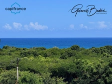 Building for sale in SAINT FRANCOIS (971)