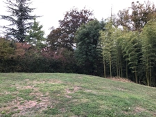 Dpt Ain (01), à vendre CEYZERIAT terrain 