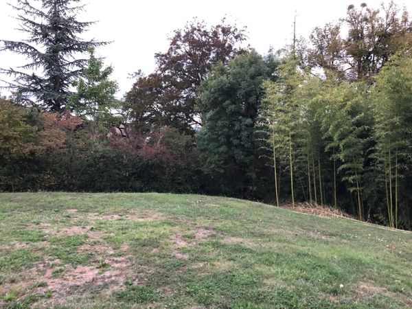 Dpt Ain (01), à vendre CEYZERIAT terrain 