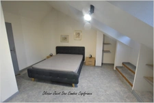 Appartement à vendre 3 pièces MONTBELIARD (25) 87m2 habitables et 117m2 au sol