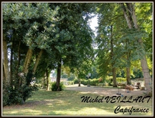 Property for sale with a 15-room building, 2 gîtes, 7390 m² of land, VILLENEUVE SUR ALLIER (03)