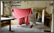 Dpt Allier (03), for sale NEUILLY LE REAL house P6 of 200 m² - Land of 594.00 m²