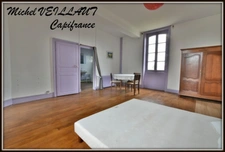 Property for sale with a 15-room building, 2 gîtes, 7390 m² of land, VILLENEUVE SUR ALLIER (03)