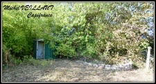 Dpt Allier (03), à vendre SOUVIGNY maison P5 de 128 m² - Terrain de 1 716,00 m² - Plain pied