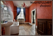 Property for sale with a 15-room building, 2 gîtes, 7390 m² of land, VILLENEUVE SUR ALLIER (03)