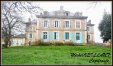 Propriété à vendre avec bâtisse de 15 pièces, 2 gîtes, terrain 7390 m², VILLENEUVE SUR ALLIER (03)