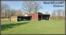 3-room house for sale in Paray-le-Frésil (03) - 2 bedrooms, garage, 1.1 ha of land