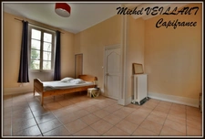 Property for sale with a 15-room building, 2 gîtes, 7390 m² of land, VILLENEUVE SUR ALLIER (03)