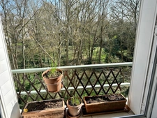 Appartement à vendre 8 pièces VERSAILLES (78)